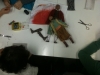 IMG_2661 - Copia IMG_2661 - Copia